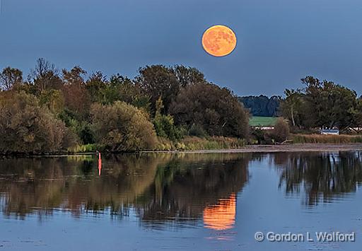 Harvest Moonrise_P1190410-2.jpg - Photographed along the Rideau Canal Waterway near Smiths Falls, Ontario, Canada.
